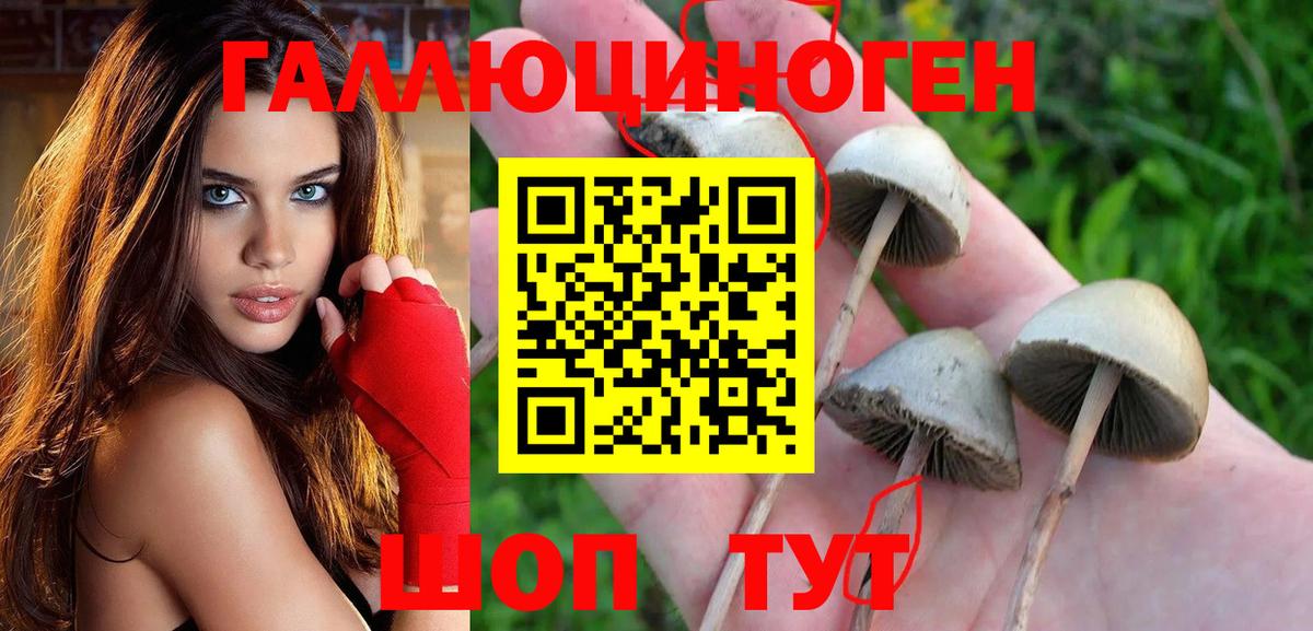 Галлюциногенные грибы GOLDEN TEACHER Ярославль