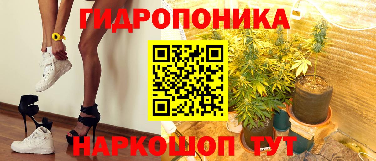 Шишки марихуана VHQ  Шишки марихуана Amnesia  Ярославль  Вход с VPN 